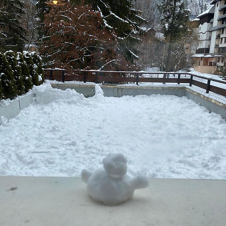 Mont Blanc View Chamonix Apartment Экстерьер фото